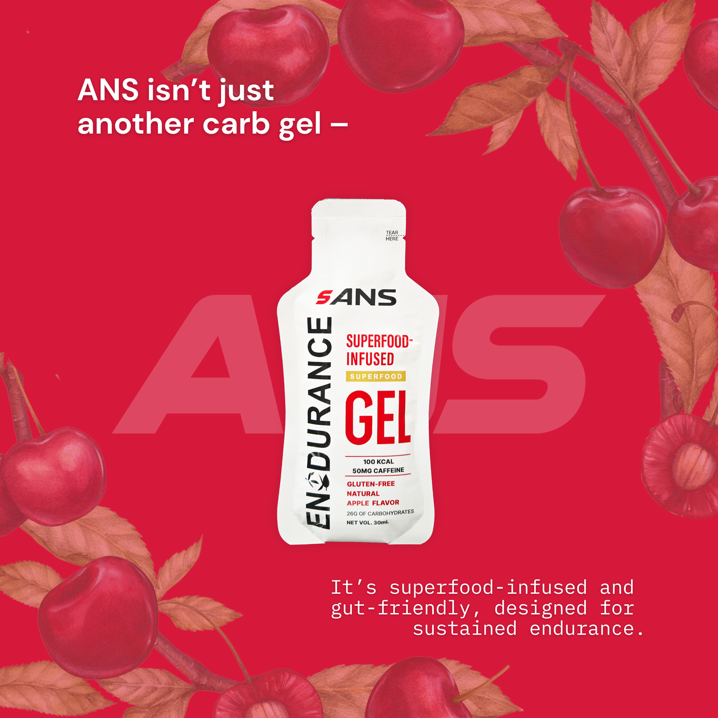 ANS Apple Superfood Energy Gel